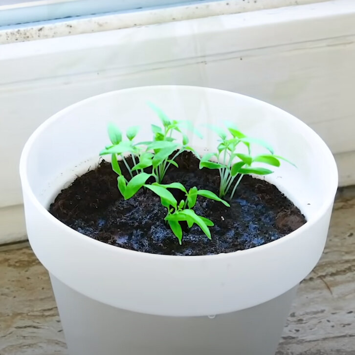 پادشاه فصلها؛ پاییز!