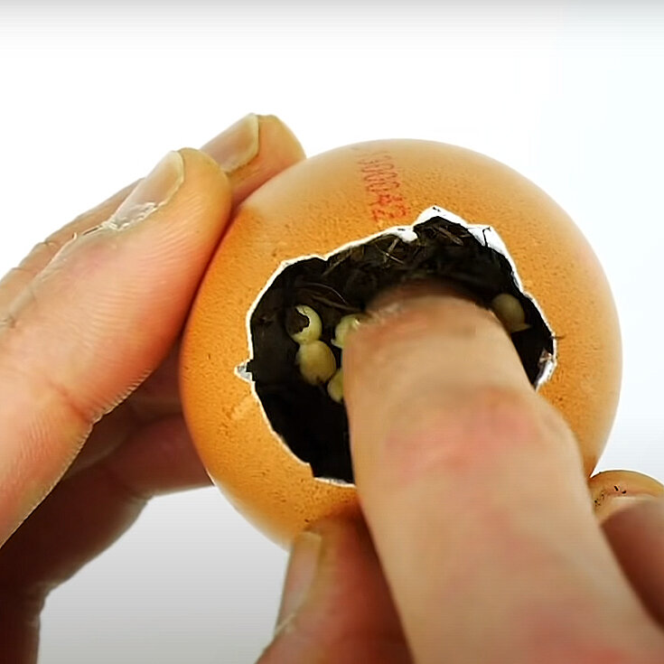 باغبانی در نمایی متفاوت