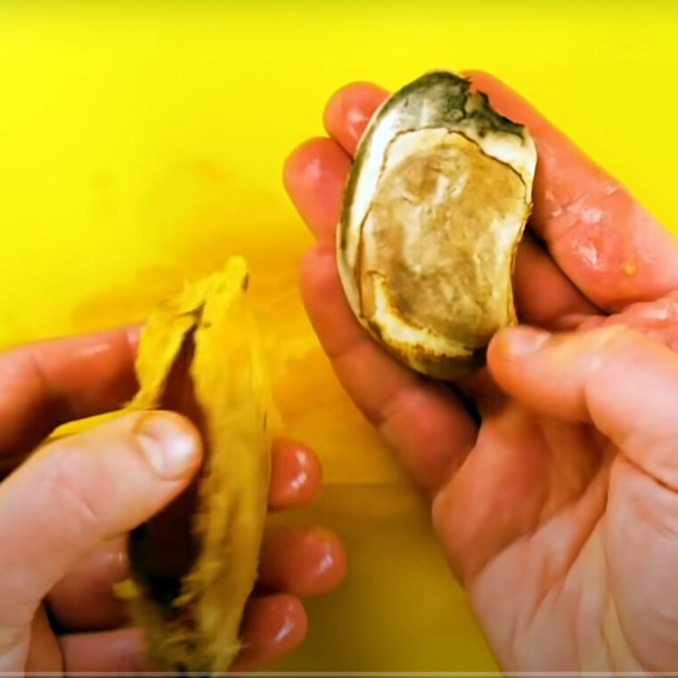 باغبانی در نمایی متفاوت