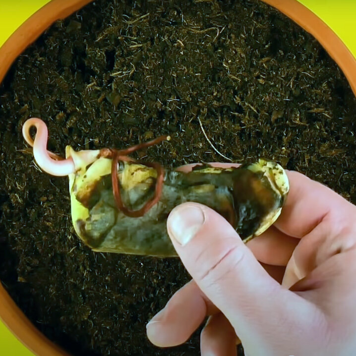 باغبانی در نمایی متفاوت