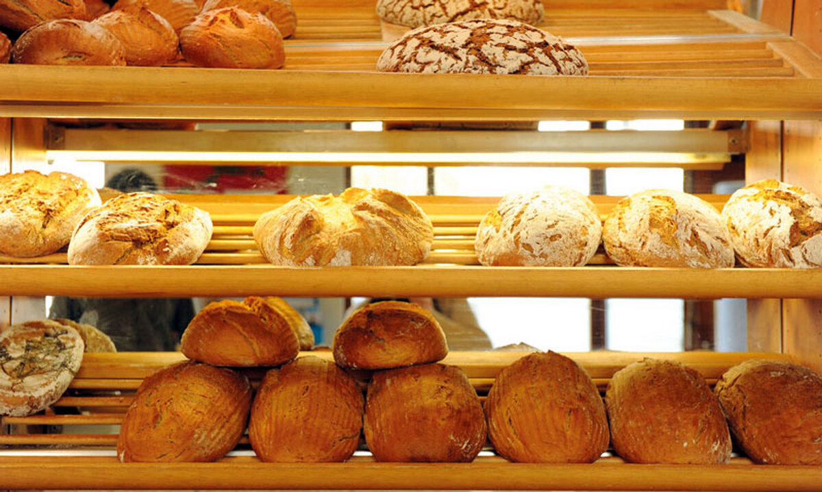 صادرات نان