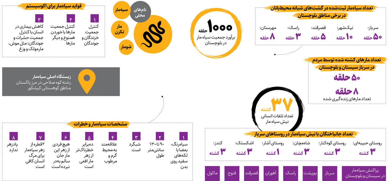 مردم سیستان و بلوچستان قاتلان سیاه خود را میبخشند | زهر سیاهمار ۱۰ برابر کشندهتر از سم افعی + اینفوگرافیک