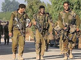 سربازان ذخیره ارتش اسرائیل مشغول چیدن میوه‌های شهرک نشینان شدند