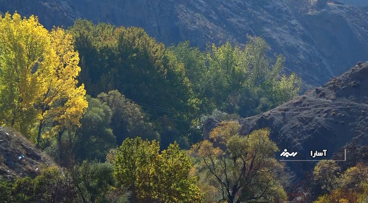 زیبایی شگفتانگیز جاده چالوس در پاییز هزار رنگ + تصاویر