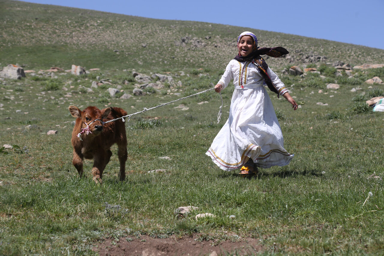 کوچ به قشلاق