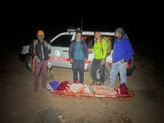 بانوی کوهنورد یزدی پس از فتح قله "میل فرنگی" دچار حادثه شد| عملیات نفسگیر گروه امداد و نجات مهریز در کوهستان!