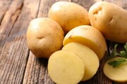 بهترین روش نگهداری از سیب‌زمینی برای مدت طولانی + نکات مهم برای خرید سیب‌زمینی