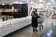 جدیدترین قیمت برنج ایرانی در بازار | برنج هاشمی، طارم،دودی و عنبربو کیلویی چند شد؟