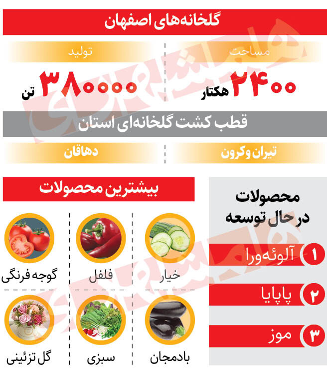 کشت پاپایا در گلخانه های اصفهان
