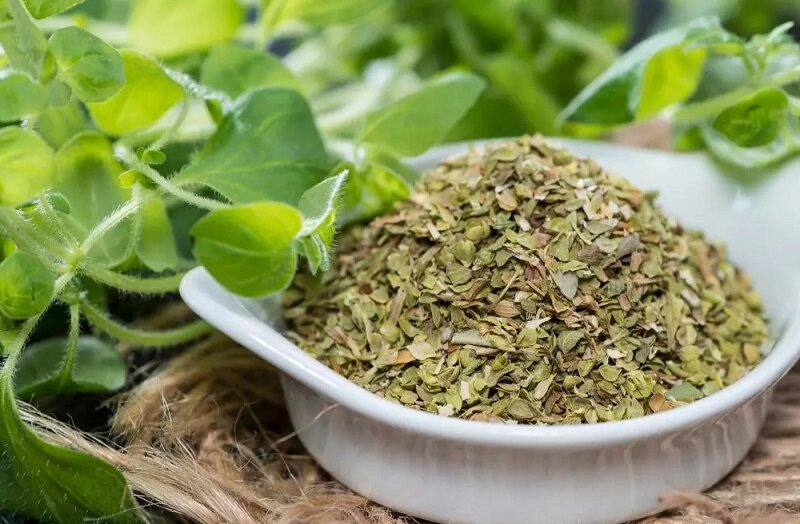 با این ادویهها مریض نمیشوید | نقش مهم ادویهها در مبارزه با بیماریها و عفونتهای فصلی