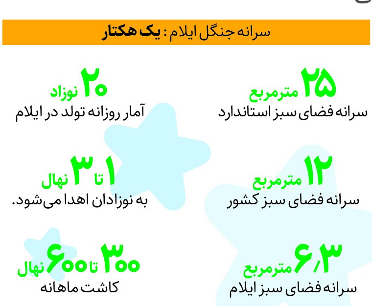 هر نوزاد ایلامی، یک نهال هدیه می‌گیرد