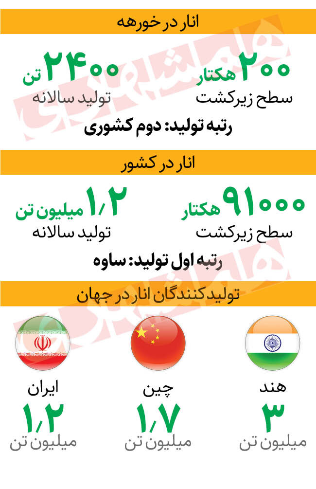 روستایی که رتبه دوم تولید انار کشور را دارد | برپایی جشن شکرگزاری انار