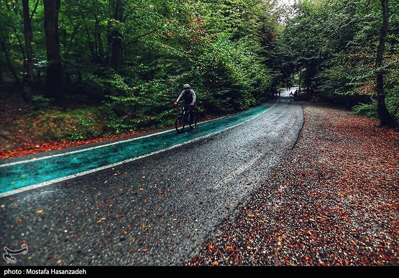 تصاویر عروس پاییزی جنگلهای شمال | بهترین فصل سفر به النگدره ؛ النگدره کجاست