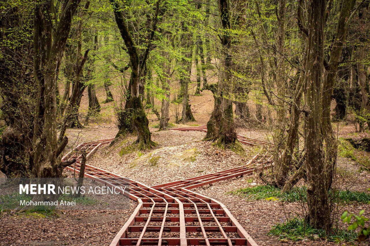 تصاویر عروس پاییزی جنگلهای شمال | بهترین فصل سفر به النگدره ؛ النگدره کجاست