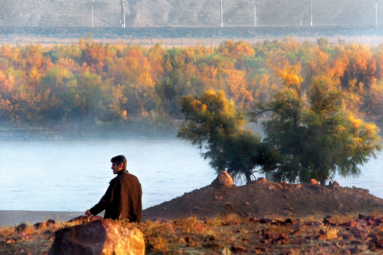 غوغای رنگها در کهنترین جنگلهای ایران | زیباترین منظرههای پاییزی را در این جنگلها ببینیند