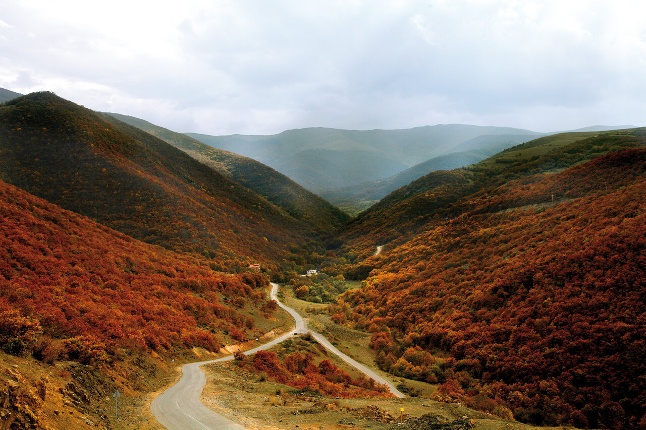 غوغای رنگها در کهنترین جنگلهای ایران | زیباترین منظرههای پاییزی را در این جنگلها ببینیند
