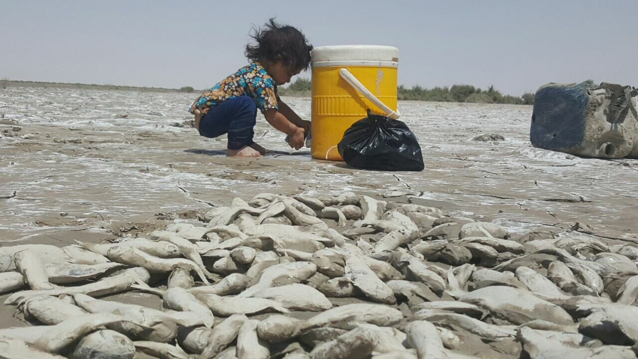 معاون رییسجمهور در بستر خشک هامون | رییس سازمان حفاظت محیط زیست: طالبان حقابه هامون را با نخستین بارش خوب می پردازد