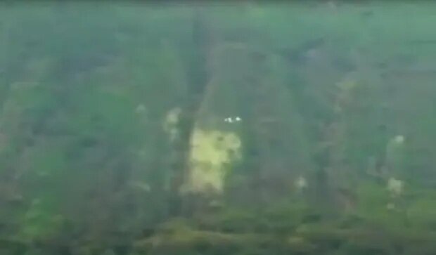 تصاویر | مشاهده بشقابپرنده در هاوایی | رعب و وحشت حاضران!