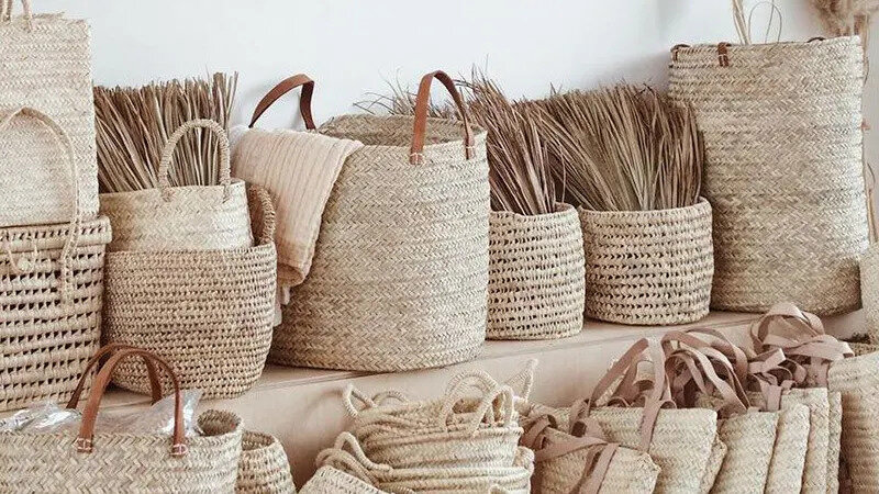 دباغی تا جُلدوزی در پایتخت