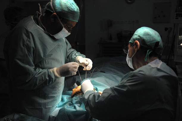 ایران؛ مرکز جراحی پلاستیک پیشرفته | از کشورهای همسایه مراجعان زیادی داریم | برای جراحی زیبایی نیازی به اعزام فرد به خارج از کشور نیست