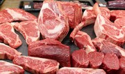 گوشت شتر گران شد ؛‌ هر کیلو چند؟ | برخی قصابی ها گوشت گوساله را به جای گوشت شتر می فروشند!