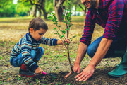 هر ایرانی صاحب یک درخت می‌شود | کاشت نهال به نام افراد خانواده | صدور شناسنامه نوزادان به شرط کاشت درخت صحت دارد؟