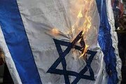 تصاویر قاپیدن پرچم اسرائیل از دست حامیان رژیم صهیونیستی توسط نوجوان آمریکایی