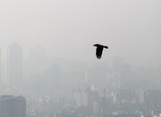 هشدار هواشناسی به تهرانی ها : افزایش آلودگی هوا در روزهای آینده