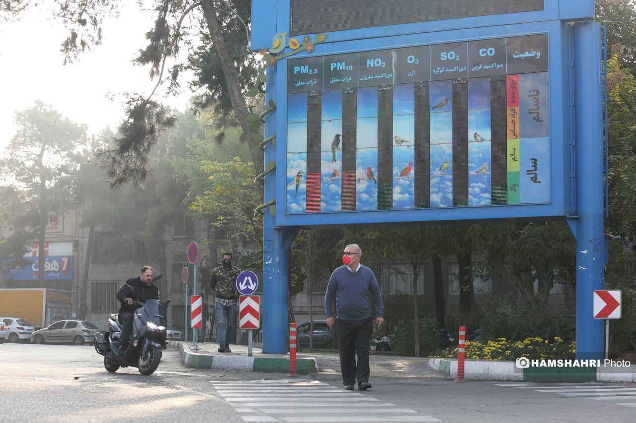 آلودگی هوا چطور باعث بروز بیماریهای تنفسی میشود؟ | آلرژی بعد از ۵۰ سالگی هم فرد را مبتلا میکند | چه تعداد از ایرانیها آسم دارند؟