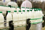 قیمت شیر ثابت ماند | کمترین و بیشترین قیمت شیرهای پرمصرف را ببینید