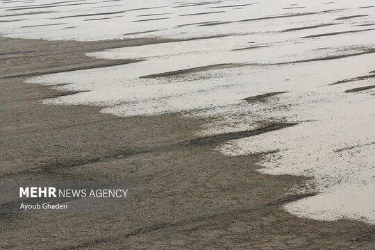تصاویر جدید و دردناک از وضعیت دریاچه ارومیه