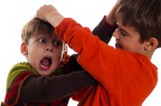 چرا کودکان دست به دامن زد و خورد با همسالان می شوند؟