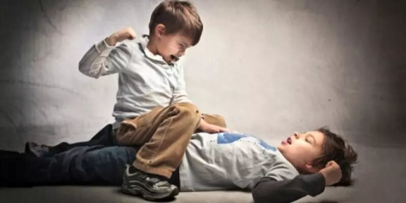 چرا کودکان دست به دامن زد و خورد با همسالان می شوند؟