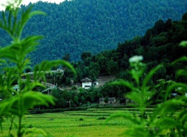 3 مورد از شهرهای شمال ایران، مقصدی جذاب برای تفریح و بوم گردی