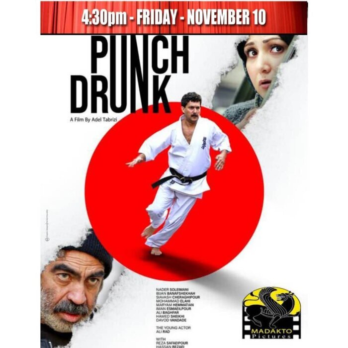 حامد بهداد و باران کوثری در راه آمریکا