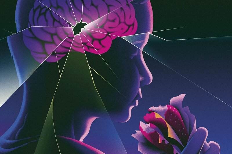 بلایی که غذاهای فوق فرآوری شده سرمان میآورد | صنایع غذایی سراسر دنیا عامل اصلی مرگ زودرس مردم