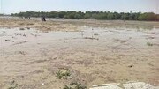 ببینید | واکنش دیدنی اصفهانی‌ها از جاری شدن آب در رودخانه زاینده‌رود