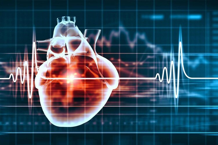 برای سلامت قلب روزانه چند قدم باید راه رفت؟ | راهکارهای حفظ سلامت قلب از زبان ۴ متخصص