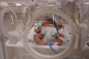 ببینید| تصاویری دلخراش از نوزاد مجروح در بیمارستان شفا غزه