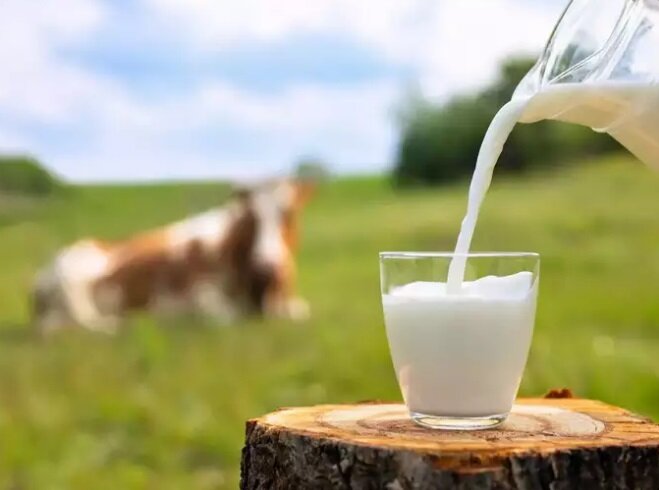 ۶ نکته جالب برای تهیه هات چاکلت کافهای در خانه | چگونه شکلات داغ سلامت درست کنیم؟