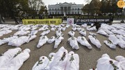ببینید | کاخ سفید در محاصره کفن پوشان