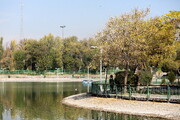 تصاویر | اگر دلتان پاییز واقعی می‌خواهد به این پارک تهران بروید
