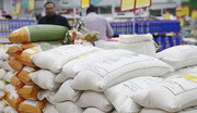 پشت پرده شایعه فساد در واردات برنج | ارز ترجیحی نمی خواهیم!