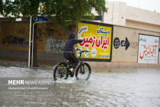 بوشهر غرق در آب