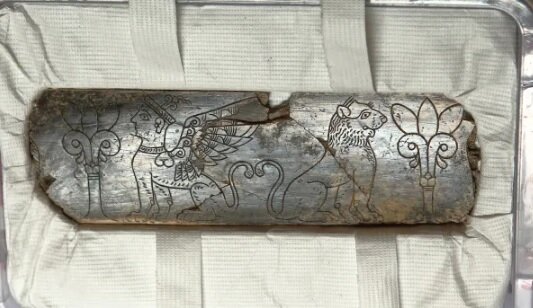 تصاویر | عاج شگفتانگیز متعلق به عصر آهن در ترکیه | معنای این کشف چیست؟