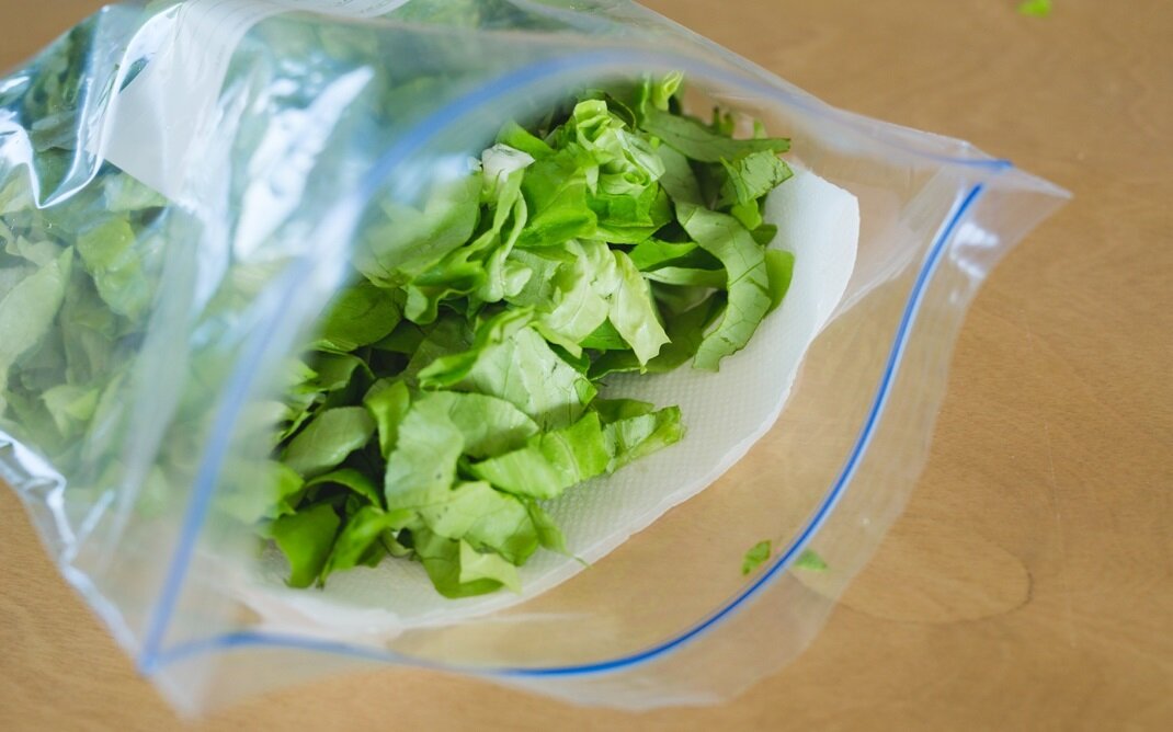 چگونه کاهو را در یخچال تازه نگه داریم؟ | ترفندهایی برای تازه نگه داشتن کاهو