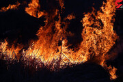 تصاویری از آتش سوزی مهیب در جنگل‌ های رودبار | کمبود نیرو برای مهار آتش | ۸ هکتار از منطقه جنگلی خاکستر شد