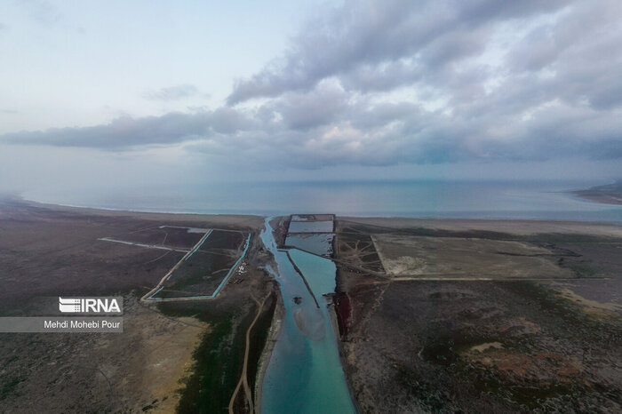 آغاز مرگ بهشت پرندگان جهان در ایران | عکسهای جدید خبر از یک فاجعه میدهند