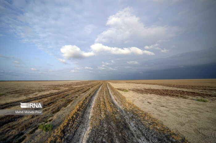 آغاز مرگ بهشت پرندگان جهان در ایران | عکسهای جدید خبر از یک فاجعه میدهند