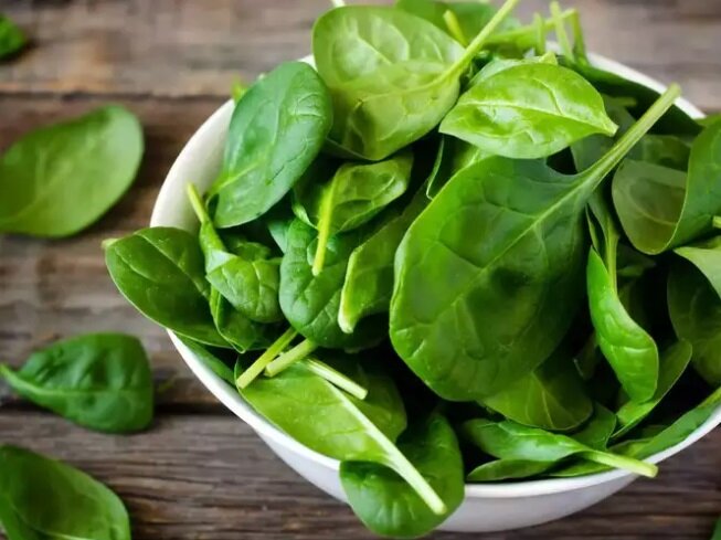 راهکارهایی برای ذخیره طولانی مدت اسفناج | چطور برگهای سبز این گیاه را ترد نگه داریم؟